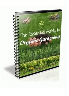 The Essential Guide to Organic Gardening (image for) The Essential Guide to Organic Gardening