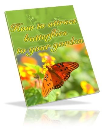 How to Attract Butterflies to Your Garden (PLR) (image for) How to Attract Butterflies to Your Garden (PLR)