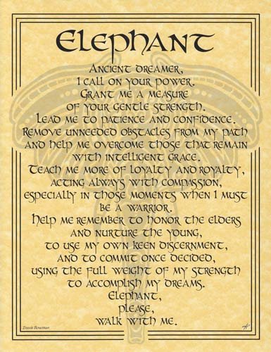 Elephant (image for) Elephant