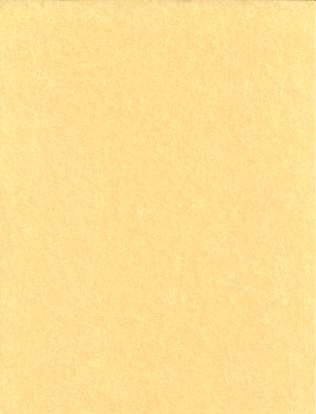 (image for) 25pk 8 1/2"x11" light parchment