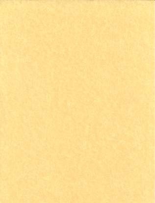 (image for) 500pk 24# 8 1/2"x11" parchment