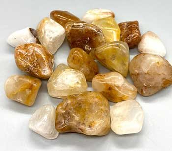 1 lb Golden Healer pebbles (image for) 1 lb Golden Healer pebbles