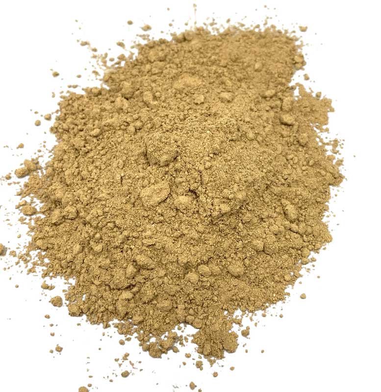 Gentian Root powder 1oz (image for) Gentian Root powder 1oz